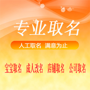 宝宝取名改名公司取名店铺取名