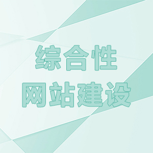 综合性网站建设