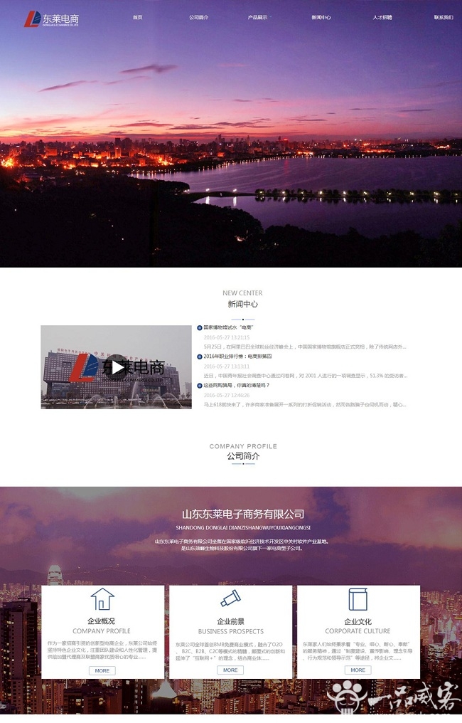 东莱忠策电子商务