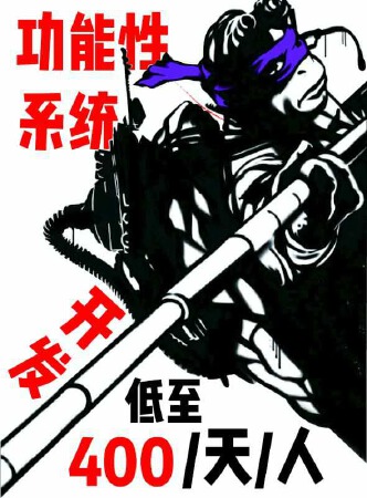 功能性系统开发