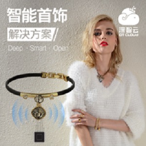 智能首饰项目