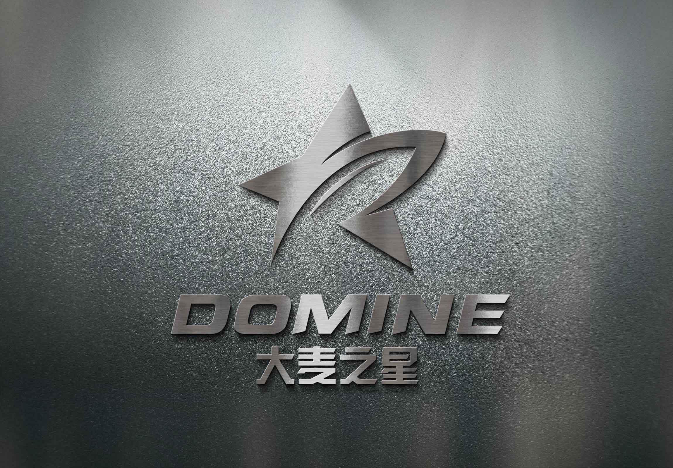 大麦之星健身机构LOGO设计