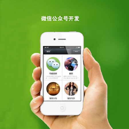 微信公众平台开发微商城开发 定制 微信支付 微信一元夺宝开发