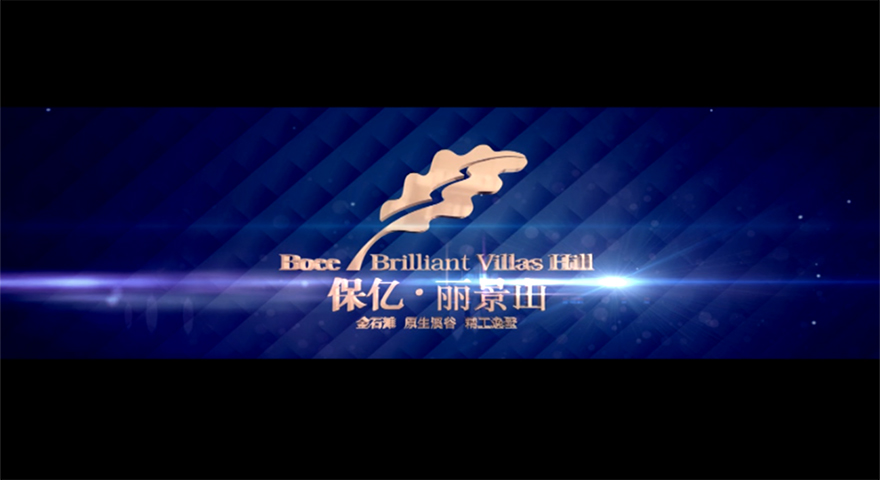 保亿·丽景山 宣传片