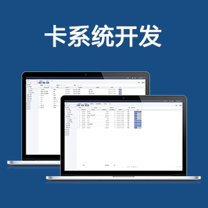卡系统开发/储值卡系统/预付卡系统