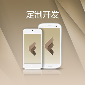 定制开发网站/微信/App 大型软件结构设计开发