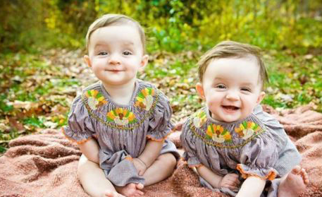 2017鸡年女宝宝名字大全欣赏,2017鸡年