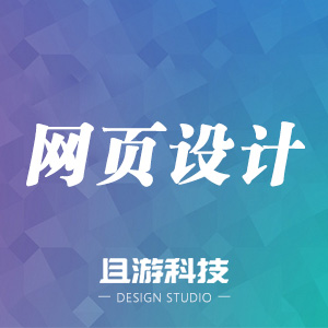 网页设计 网站建设