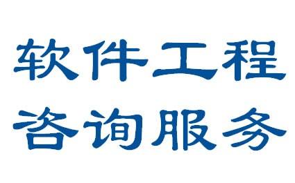 软件开发咨询