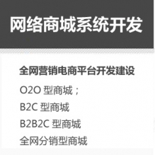 网络商城系统开发