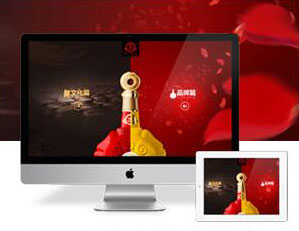 HTML5网站定制（自适应）