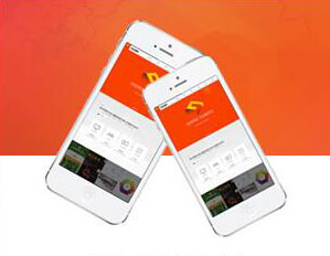 手机型网站定制