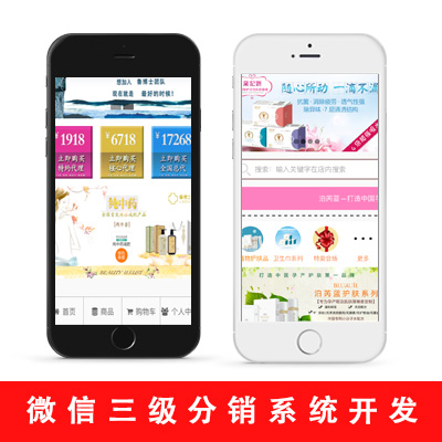 APP定制开发