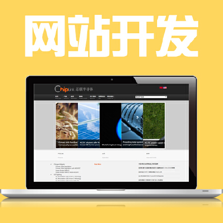 网站开发