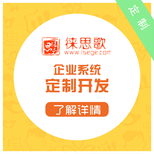 企业系统开发