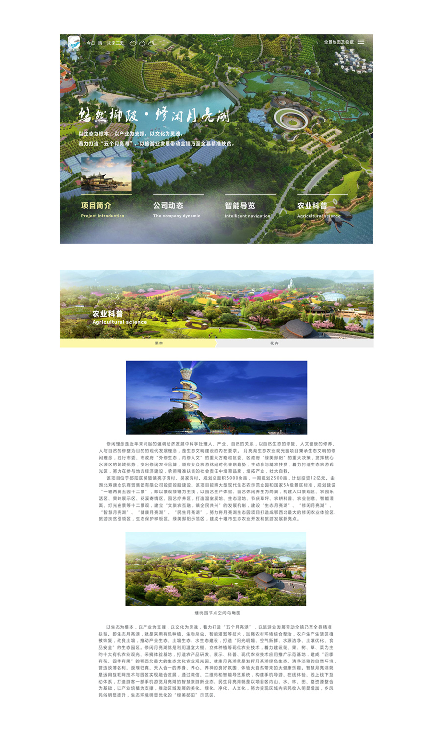 网站开发加网页设计