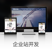 企业站开发