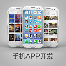手机APP开发