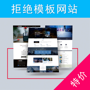 2800元企业网站开发