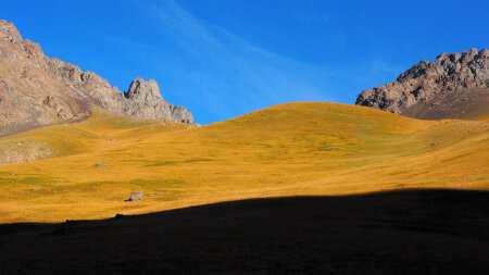网站或者微信二次开发