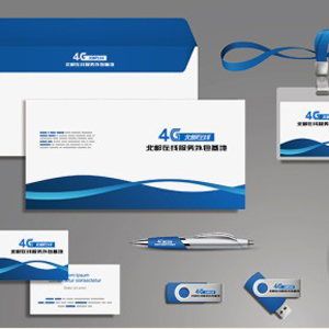 vi设计   视觉识别