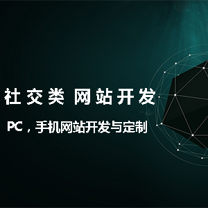 社交类网站开发