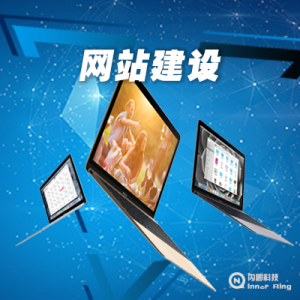 网站开发