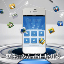 软件开发/后台程序开发