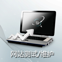 网站测试/维护