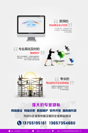 专业企业网站建设