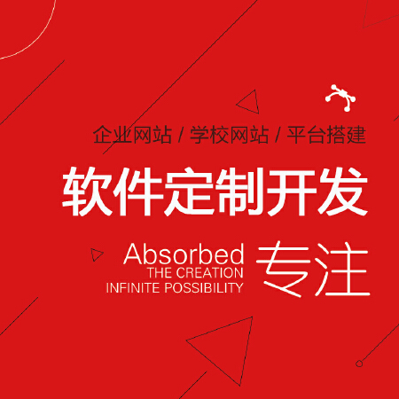 企业管理、业务系统定制开发