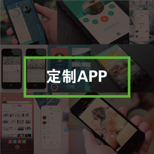 APP定制开发