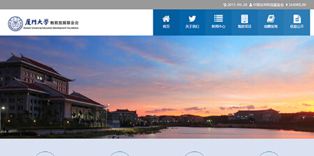 综合型网站开发服务