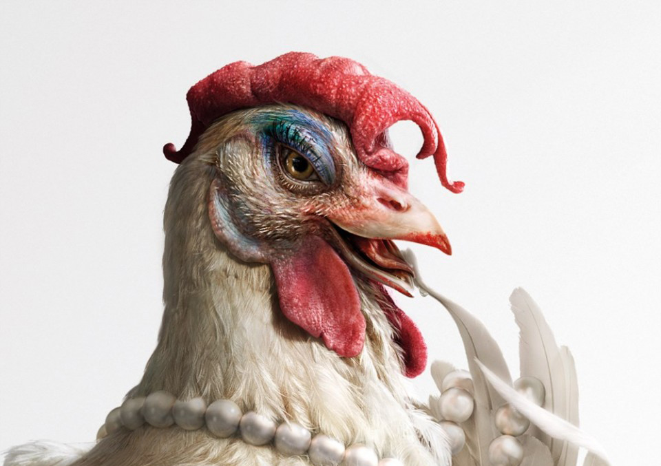 三只小鸡鸡户外运动品牌设计