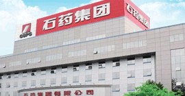 河北石药集团微信开发