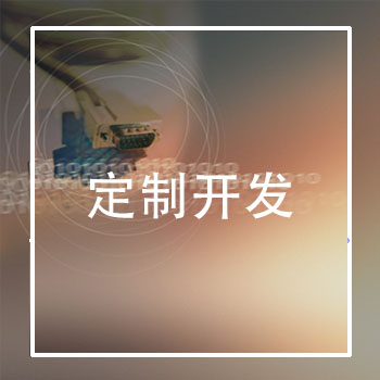 定制开发