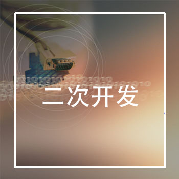 二次开发