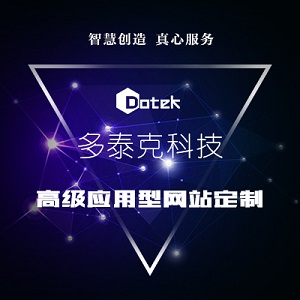 高级应用型网站定制