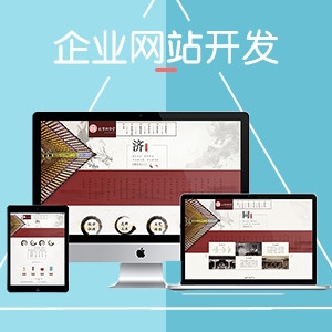 企业网站开发