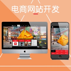 电商网站开发