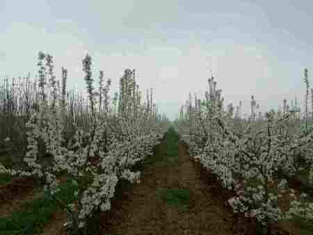 诗词，歌词，对联，小故事情节，