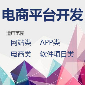 电商平台开发