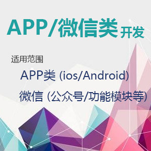 APP/微信开发
