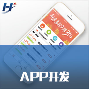 APP开发