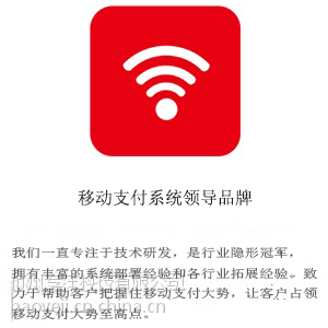 如何挑选专业的支付系统公司