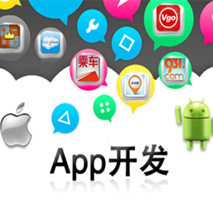 APP定制开发