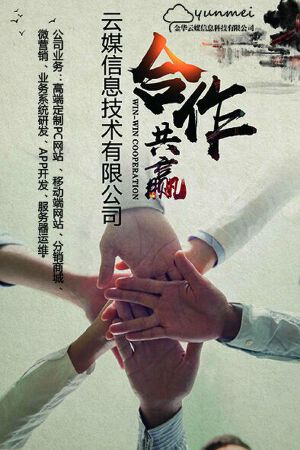 专业的软件开发团队
