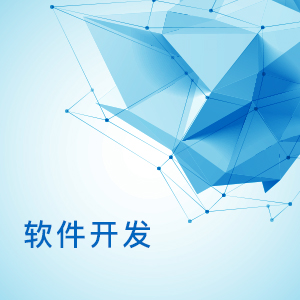 软件开发