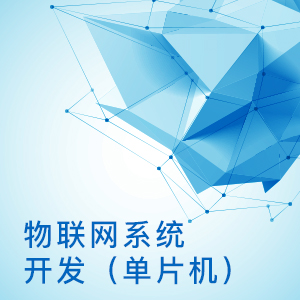 物联网系统开发