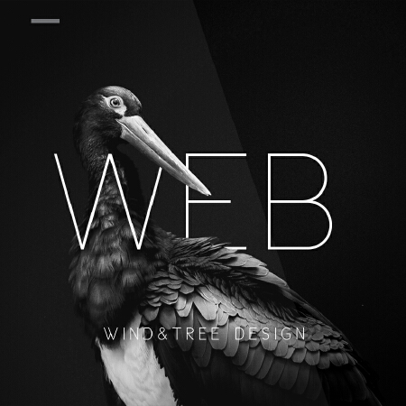 风与树 | 企业网站设计开发/专题页面设计/淘宝页面设计